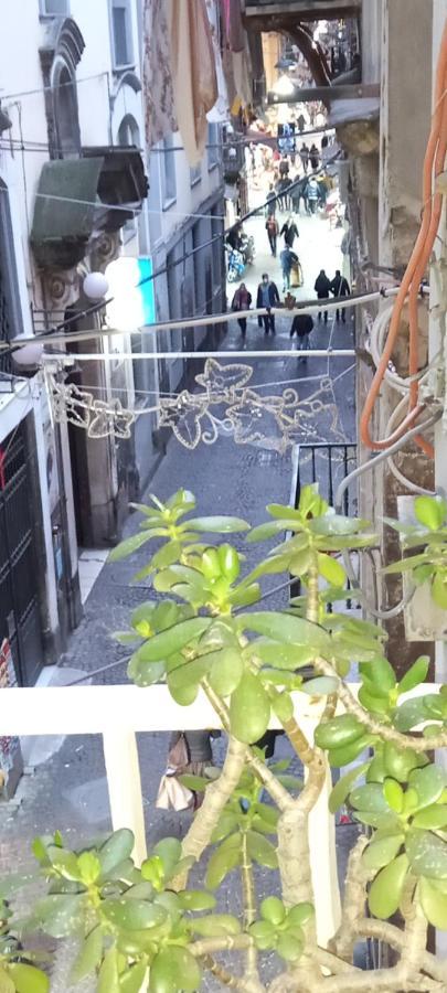 Casa San Biagio 1964 Spaccanapoli Appartement Buitenkant foto